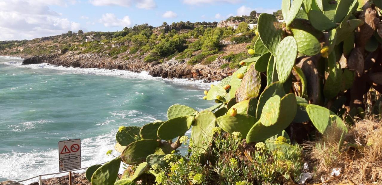 La Casetta Di Francesca Santa Maria di Leuca ภายนอก รูปภาพ